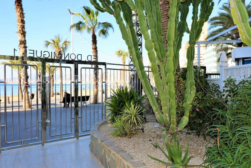 Luxurious 2-Bedroom Apt With Stunning Views, 1St Line On Levante Beach, 베니돔 외부 사진